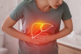 Maintaining Liver Health To Vital Organ’s Well-being